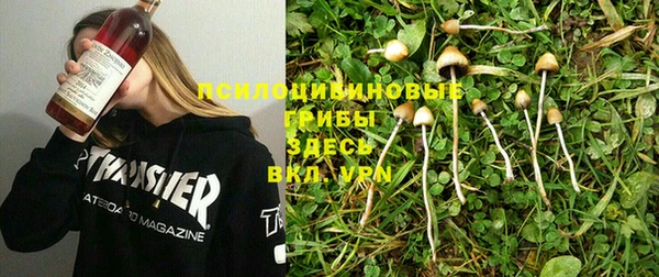 марки nbome Горняк
