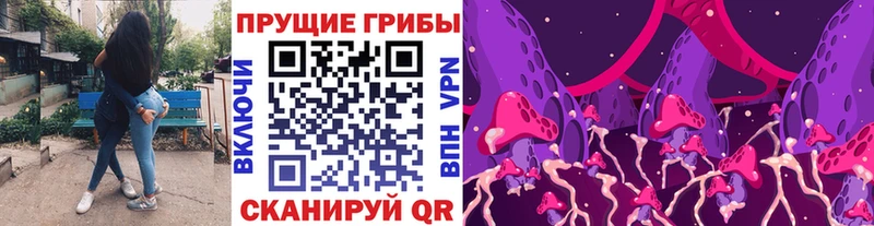 Псилоцибиновые грибы прущие грибы  Невель 