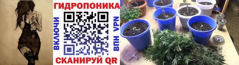 Конопля план Невель